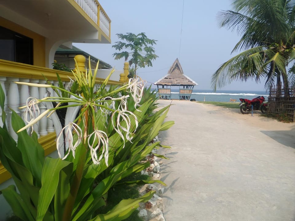 Decorative detail, Area and facilities