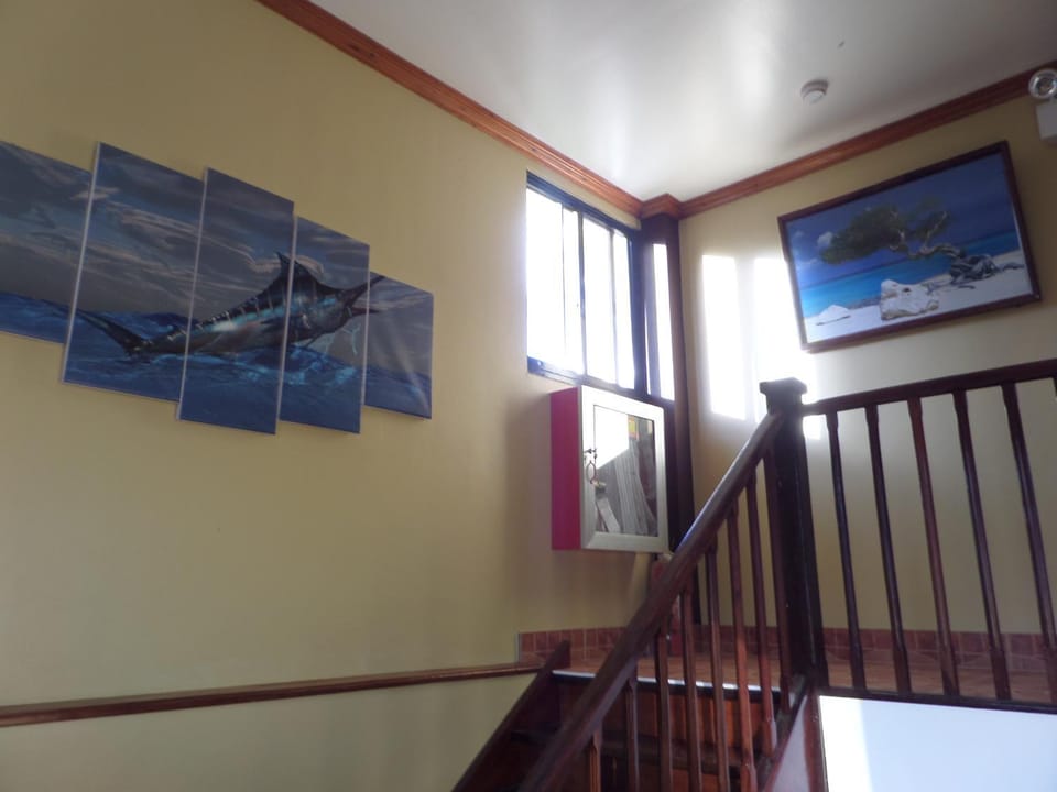 Decorative detail, Area and facilities