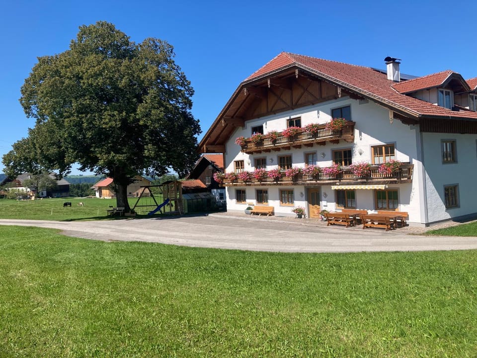 Biohof-Feichtinger Apartment in Salzburgerland