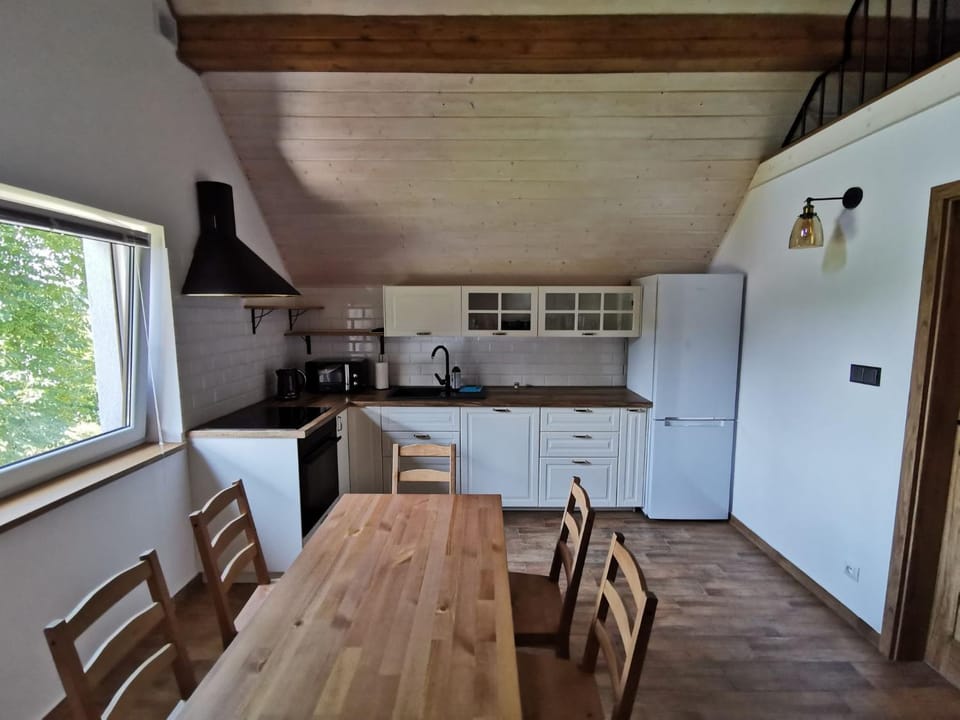 Kitchen or kitchenette, Dining area, dishwasher, minibar, pet friendly, stove