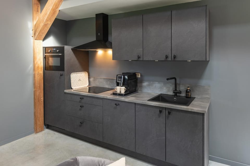 Kitchen or kitchenette, dishwasher, minibar, pet friendly