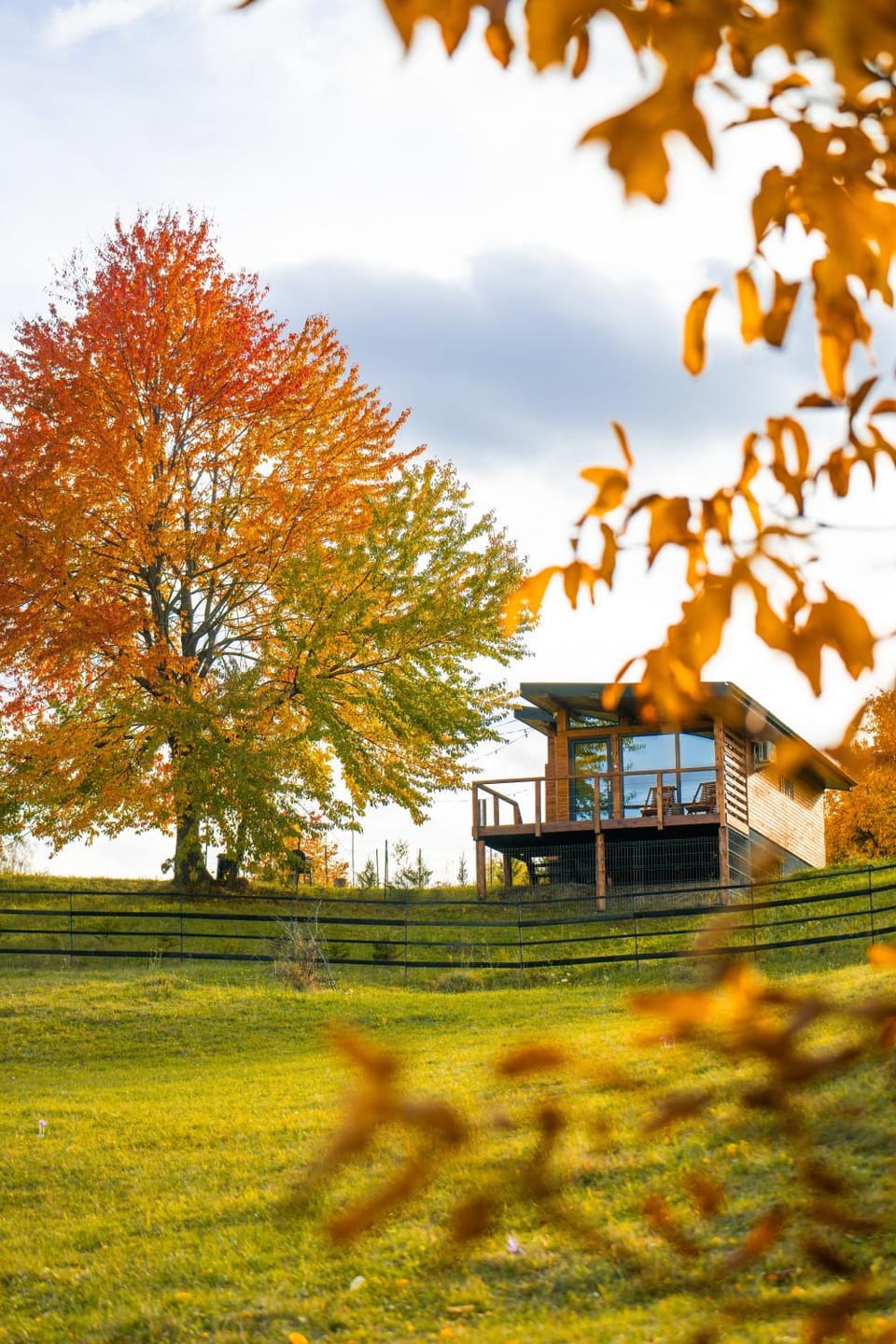Day, Natural landscape, Garden, Garden view