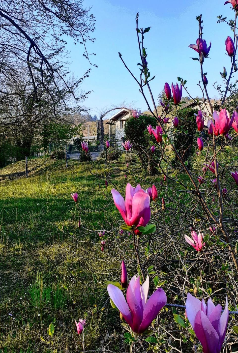 Garden, Garden