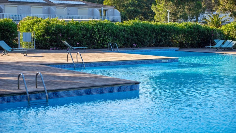 Garden, Swimming pool, sunbed