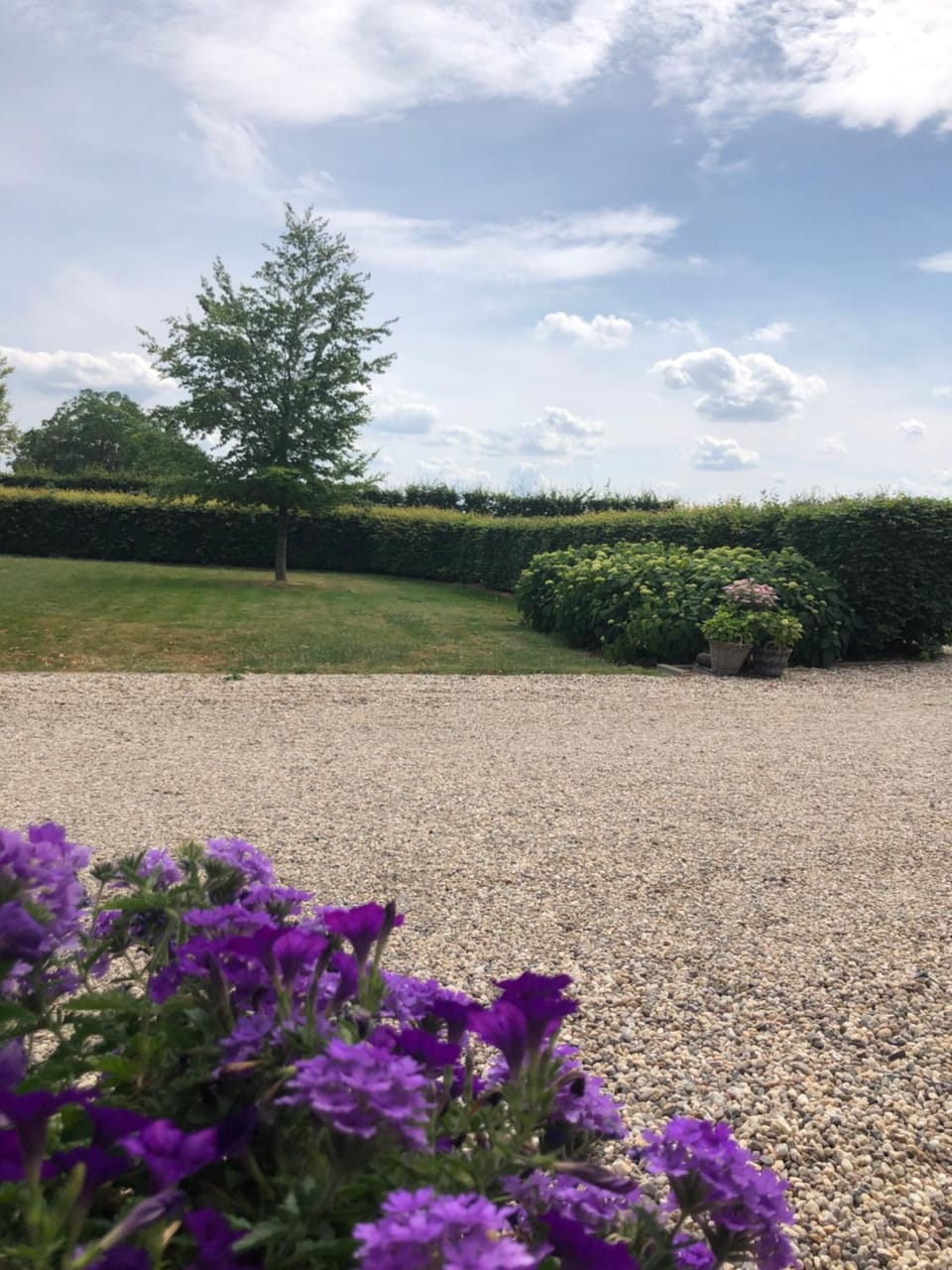 Garden view