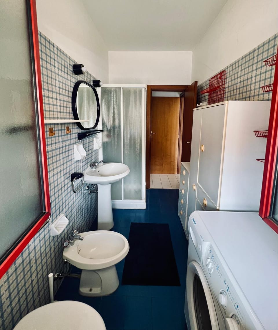 Shower, Bathroom, bidet, washing machine