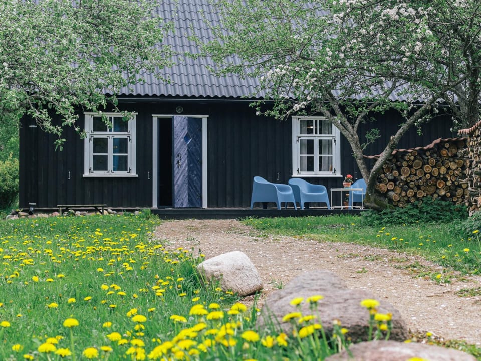Natural landscape, Garden, Garden view