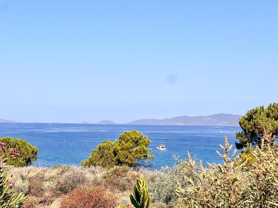 Manon - Beach by foot Terrace with sea view Apartment in Corsica