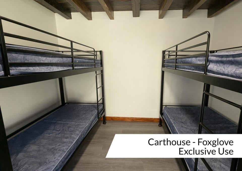 Property building, Bed, Bedroom, bunk bed