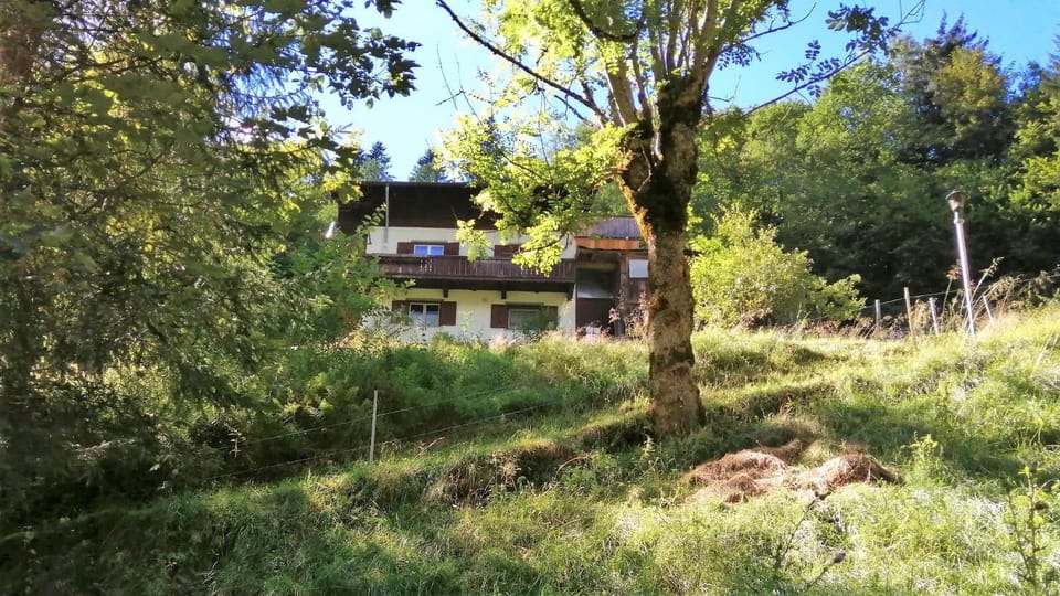 Ferienwohnung in abgelegener Ski- und Wanderhütte Apartment in Uderns