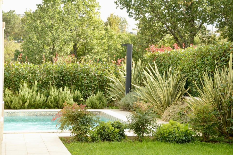 Garden, Garden, Swimming pool