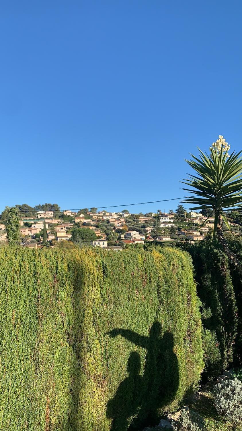 City view
