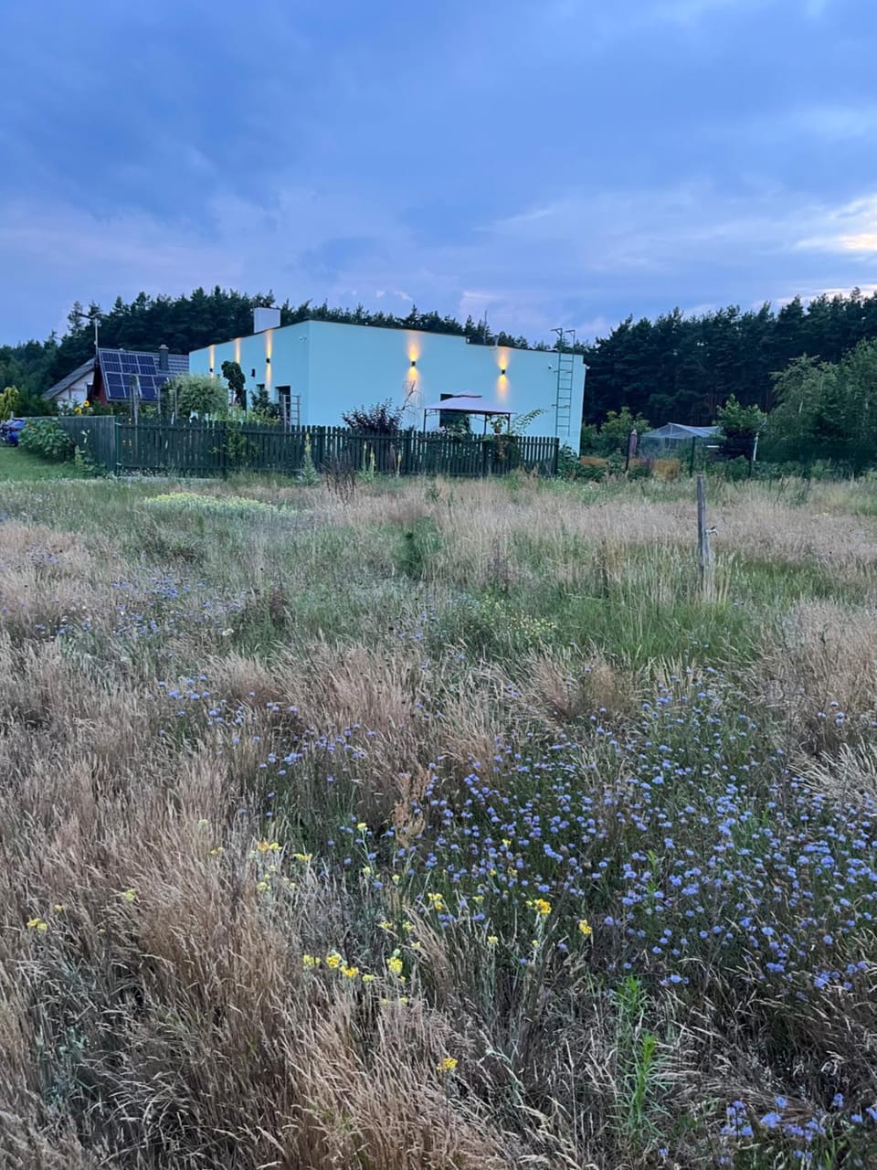 Property building