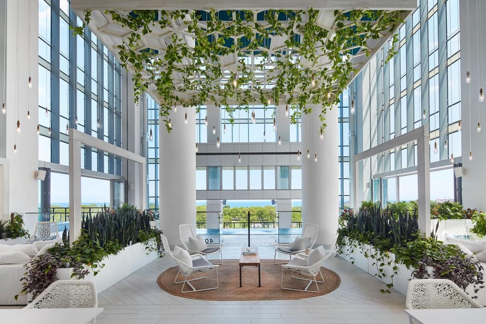 Garden, Lounge or bar, Pool view