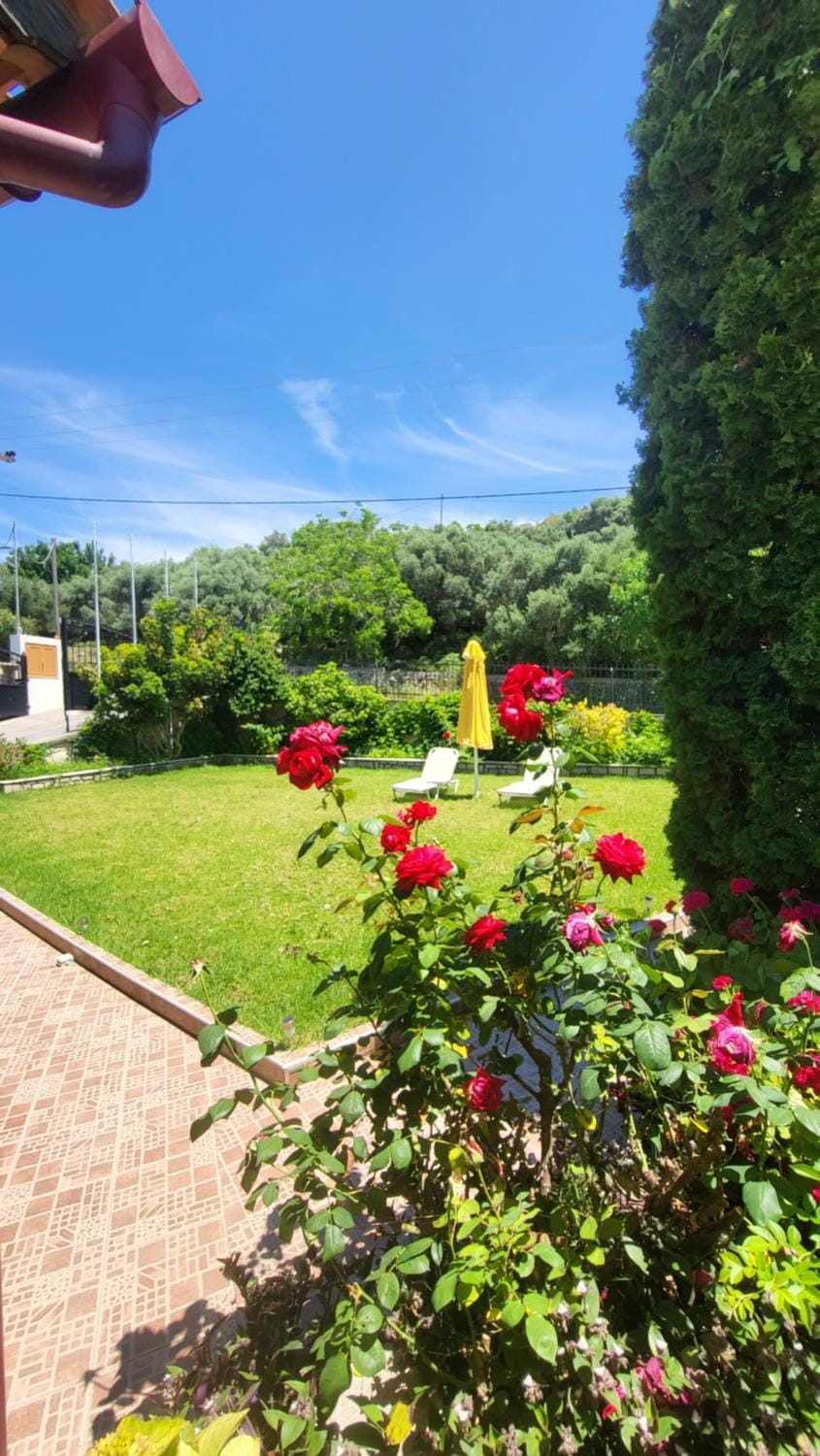 Spring, Garden, Garden view