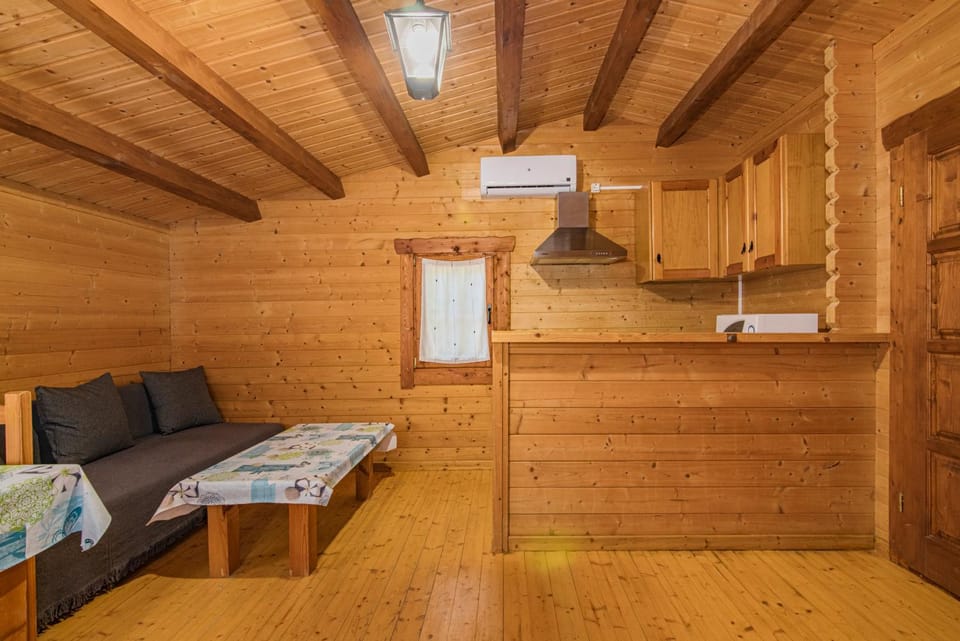 Kitchen or kitchenette, minibar, oven