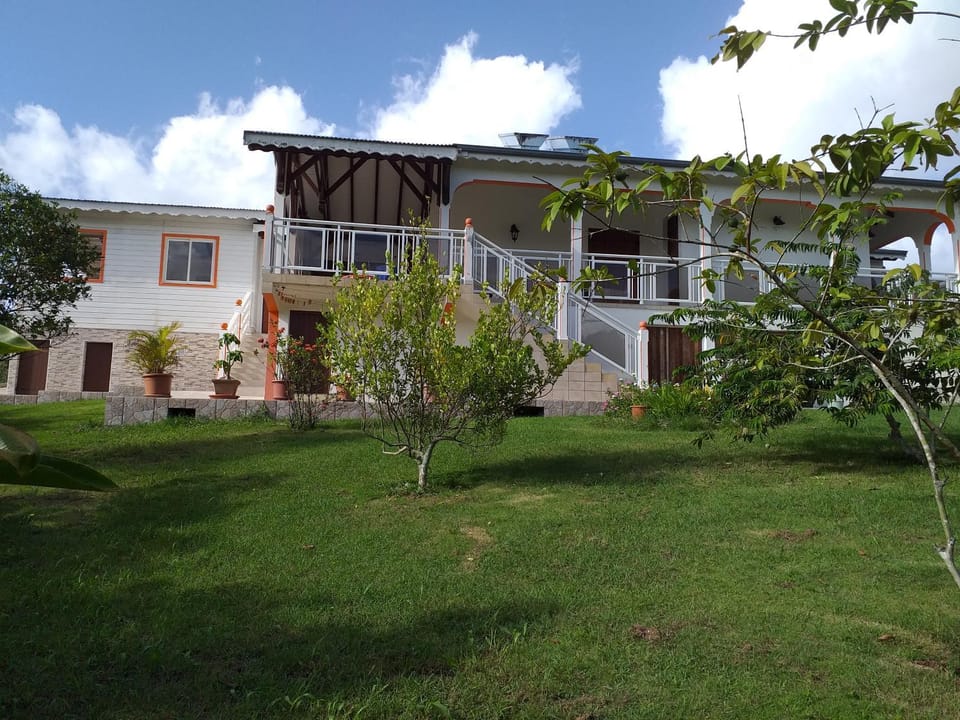 Property building, Garden view
