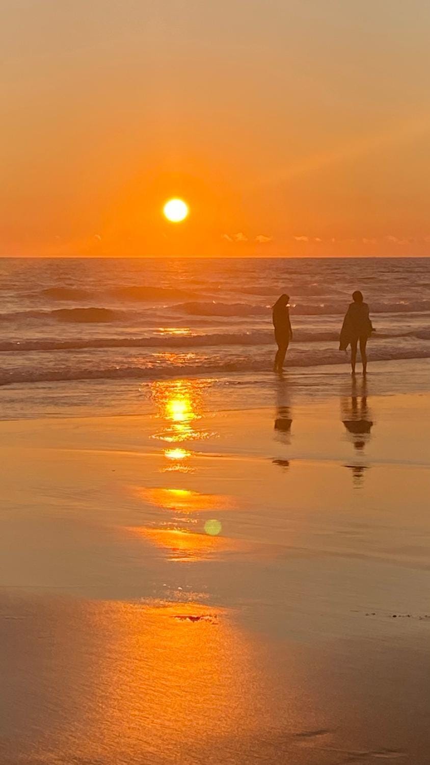 Natural landscape, Beach, Hiking, Sunset