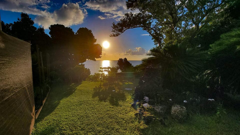 Garden, Sunset