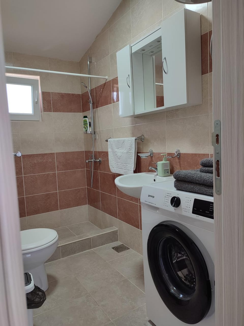 Shower, Toilet, towels, washing machine