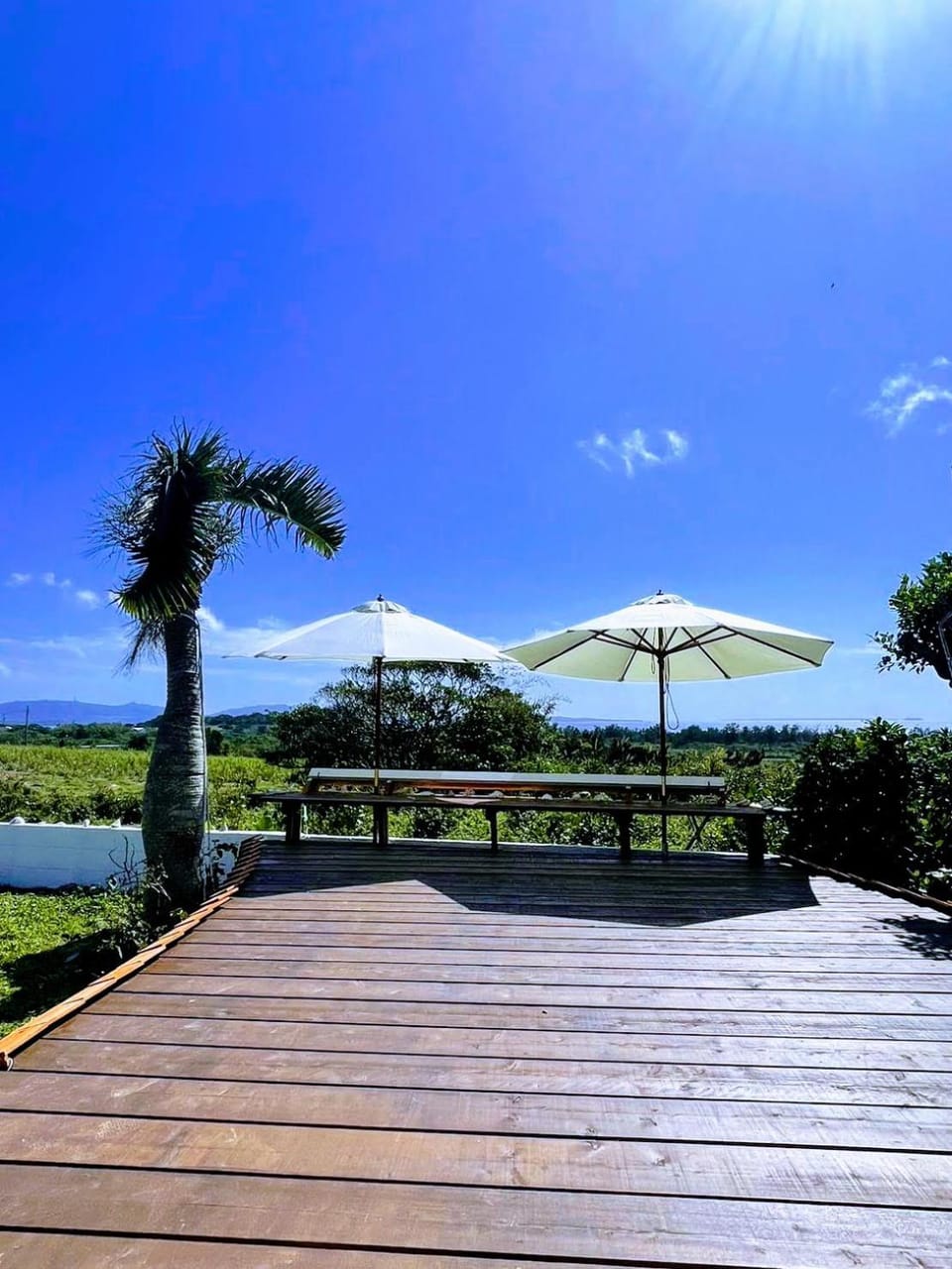 Garden view