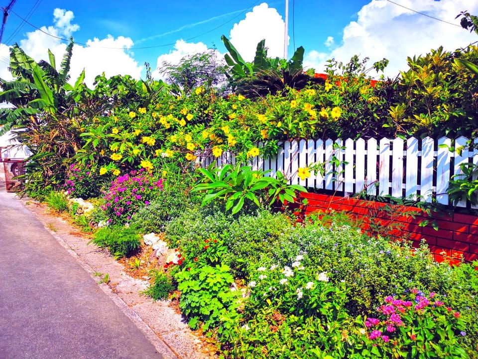 Garden view