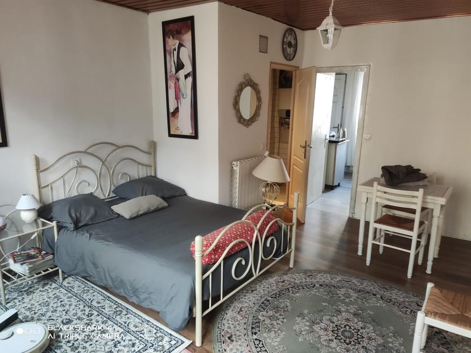 Bed, Living room, Photo of the whole room, Dining area, Bedroom