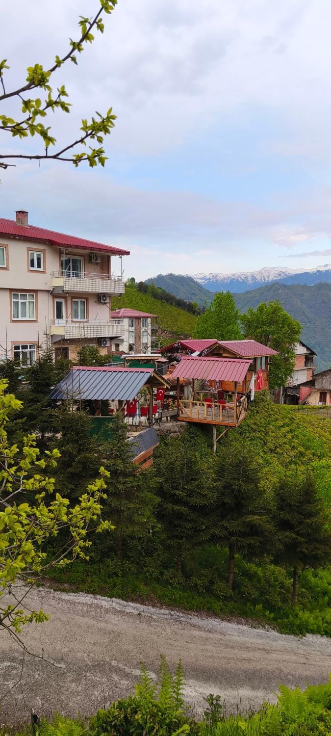 Yeşilköy pansiyon bungalov Apartment in Georgia