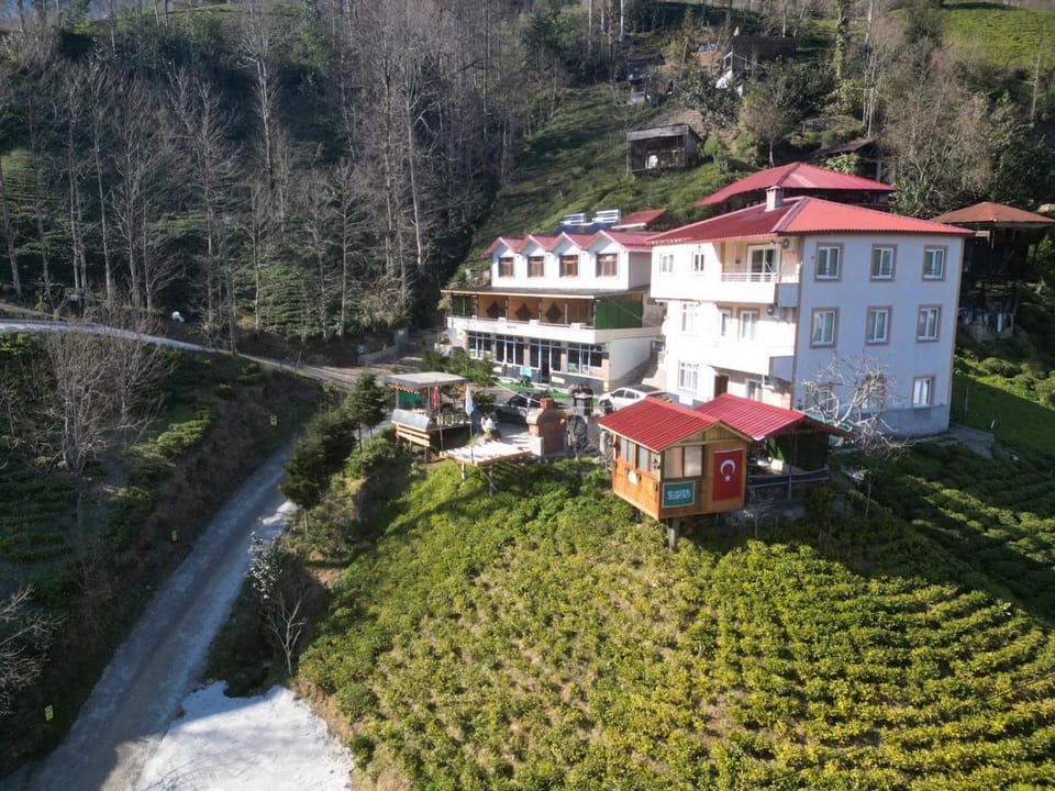 Property building, Natural landscape, Bird's eye view