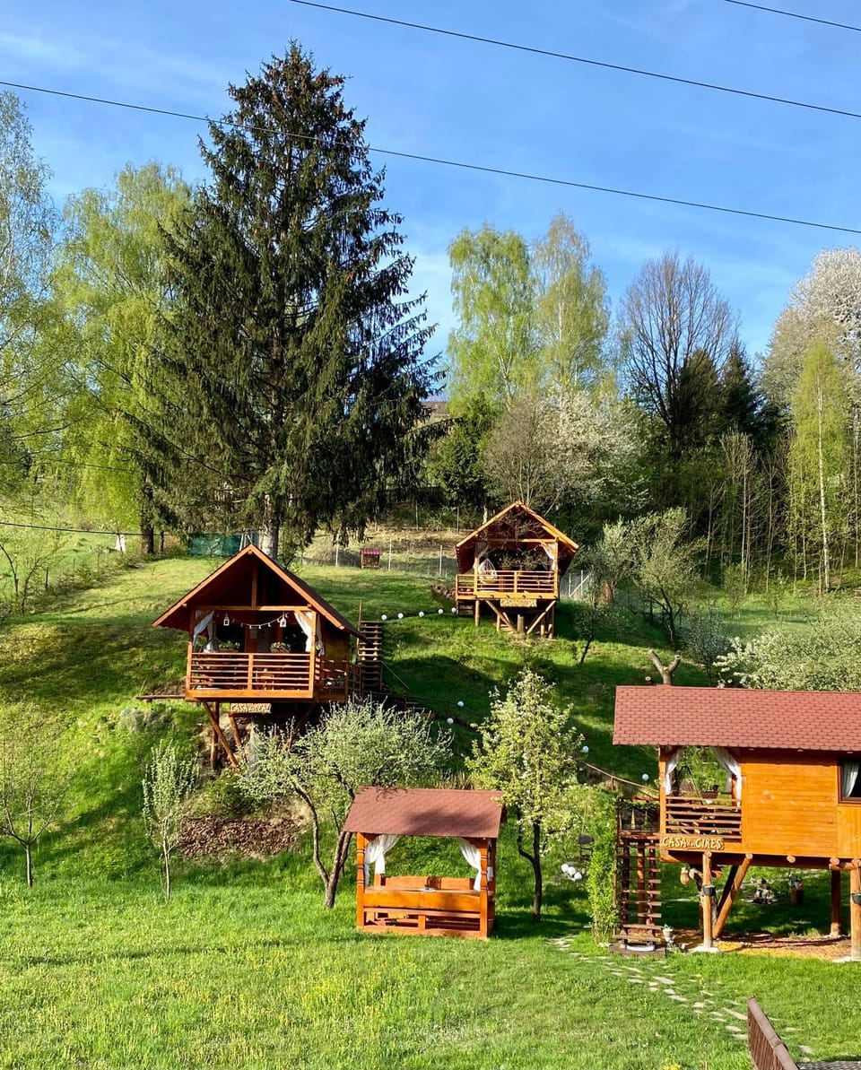 Domeniul Horj Casa din Stejar Moisei House in Romania