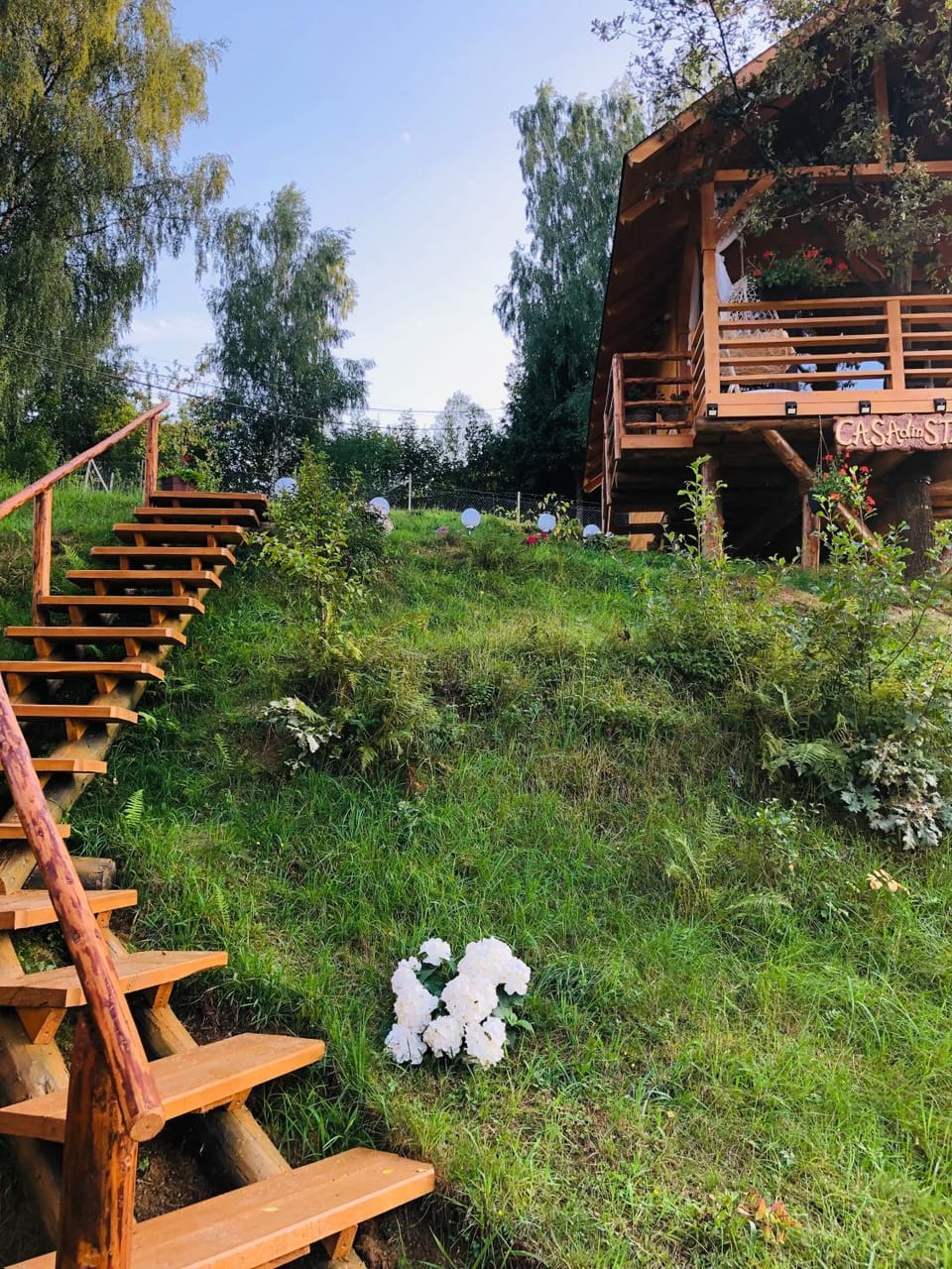 Domeniul Horj Casa din Stejar Moisei House in Romania