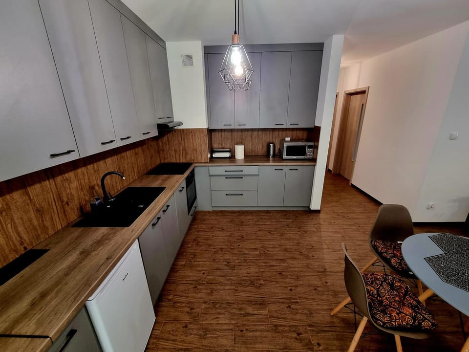 Apartament 'U PODNÓŻA GROMADZYNIA' Apartment in Poland