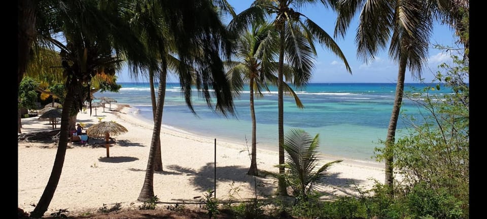 Natural landscape, Beach, Sea view