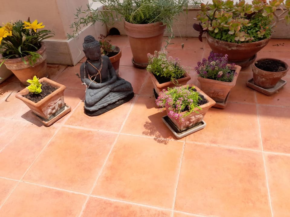 Sea view Penthouse with beautiful Terrace - Casa Verdi Jayanti Apartment in Ostia