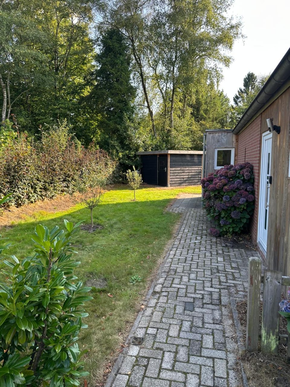 Vakantiehuisje drenthe gasselterveld House in Drenthe (province)