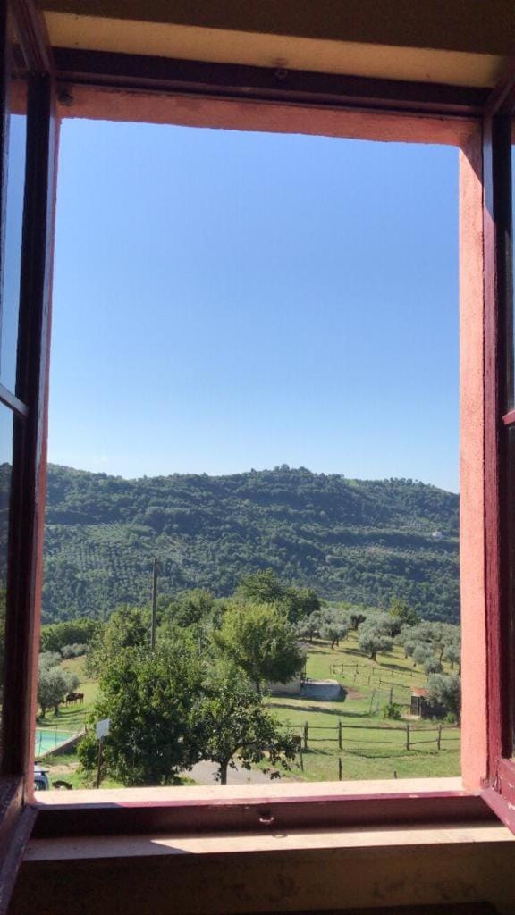 View (from property/room)