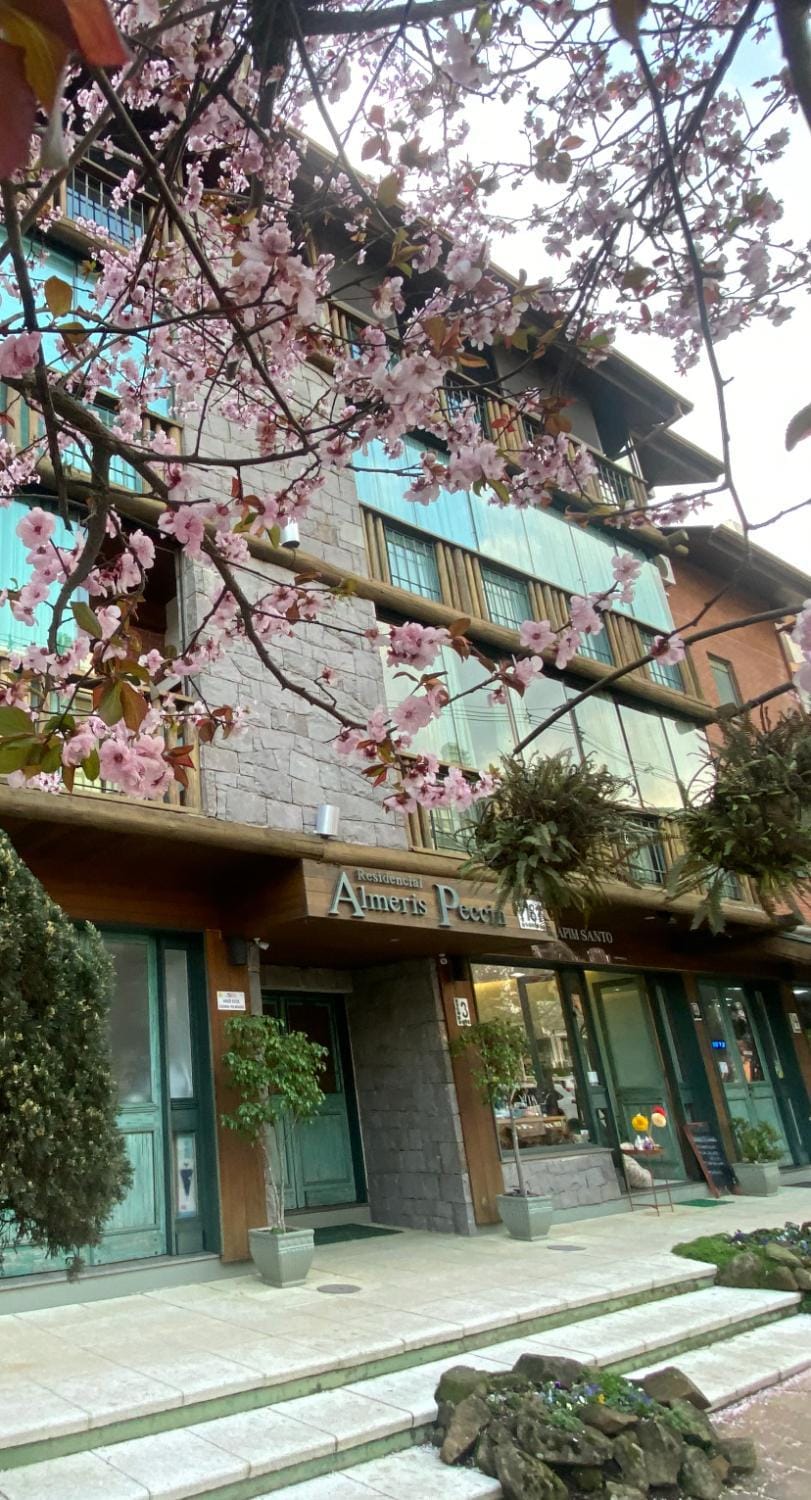 Property building, Neighbourhood