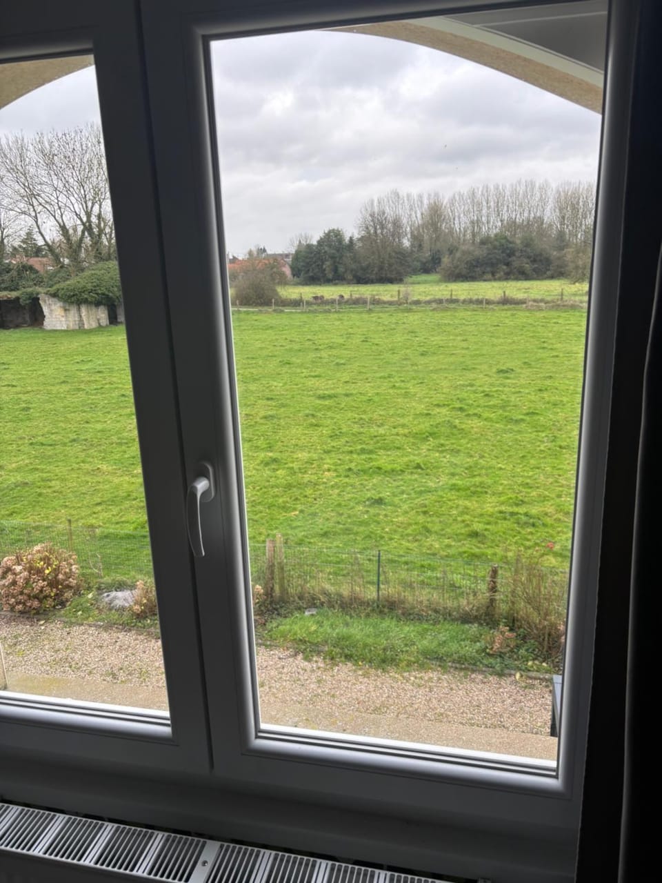 Garden view