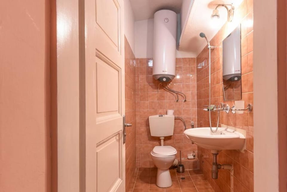 Spacious and Cozy 3 BR Apartment in Downtown Sofia Apartment in Sofia