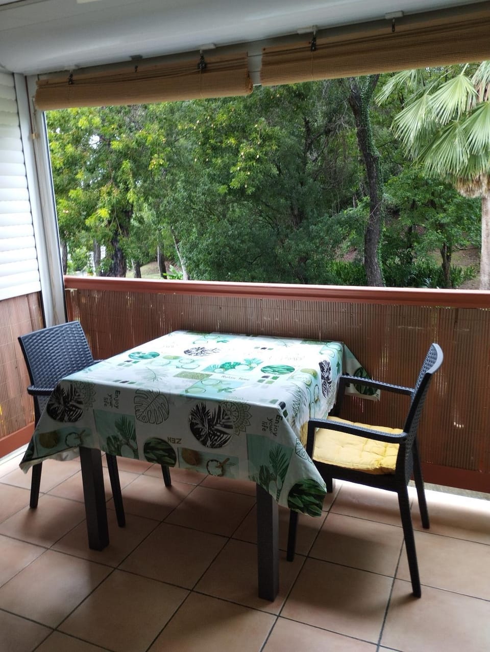 Studio Le Balisier Apartment in Sainte-Anne