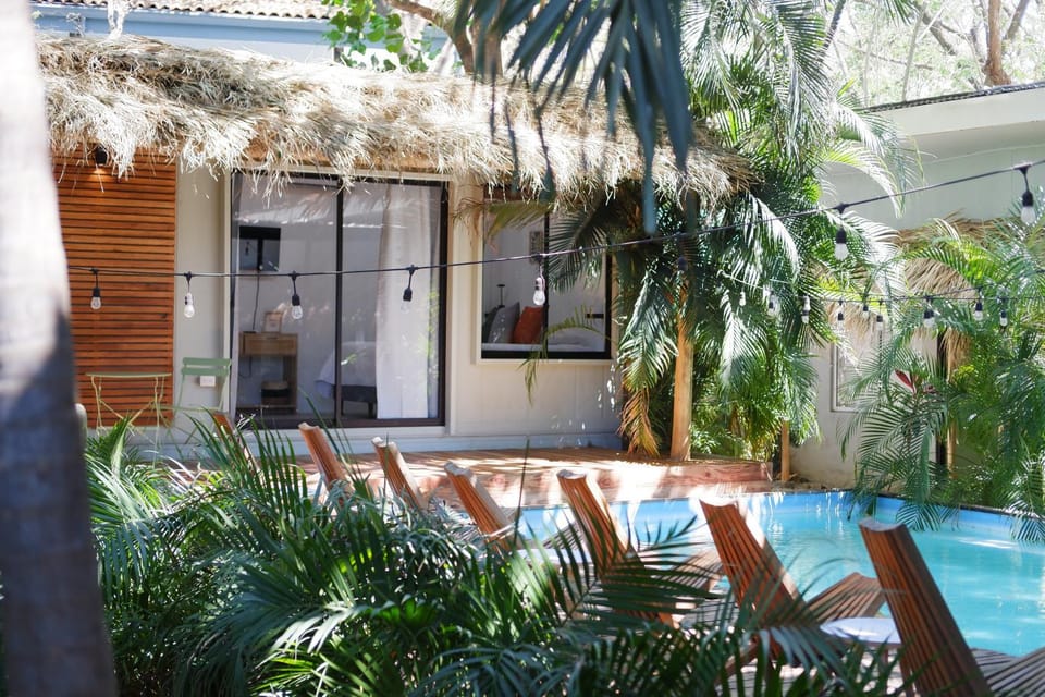 Property building, Patio, Spring, Day, Garden, Garden view, Pool view, Swimming pool, sunbed