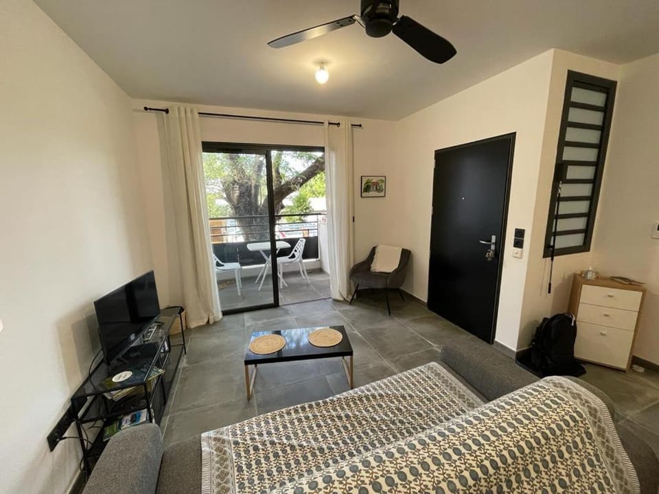 Leu Girembelle Apartment in Saint-Leu