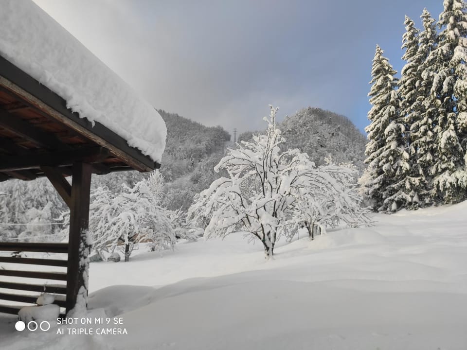 B&B Da Dodo' Bed and Breakfast in Liguria