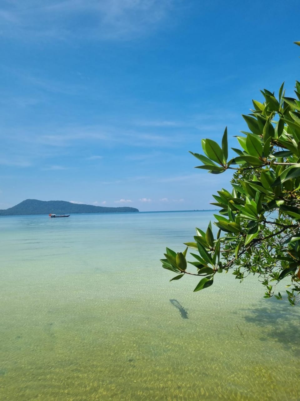 Mangrove Beach Bungalows Nature lodge in Sihanoukville