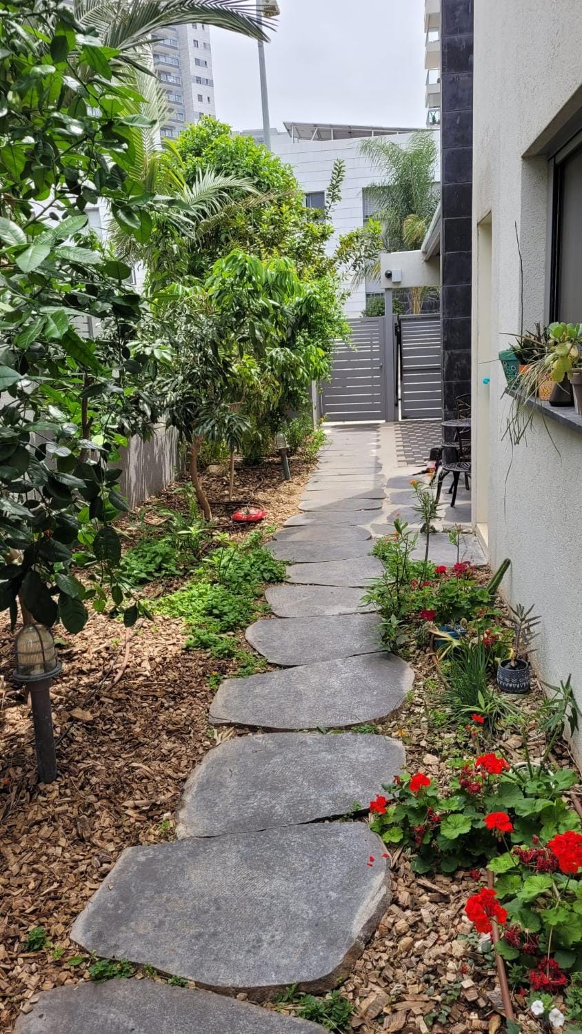 Spring, Day, Garden
