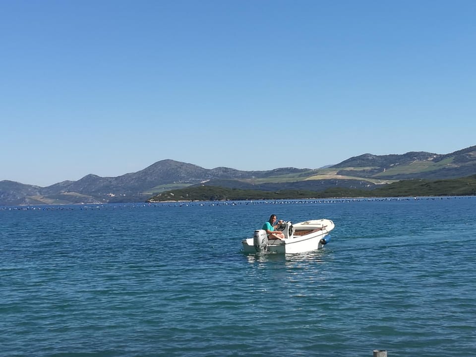 Apartmani Vlahušić Apartment in Putniković