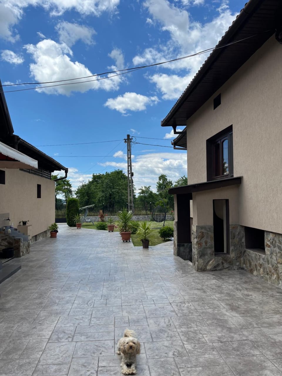 Cazare Sandy Vacation rental in Romania