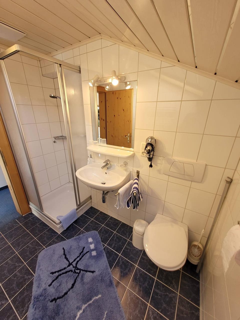 Shower, Bathroom