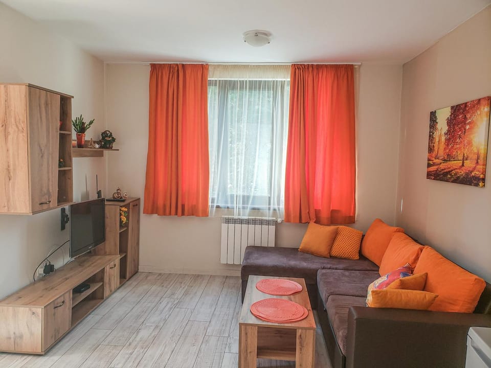 Lovely Borovets Apartment Apartment in North Macedonia