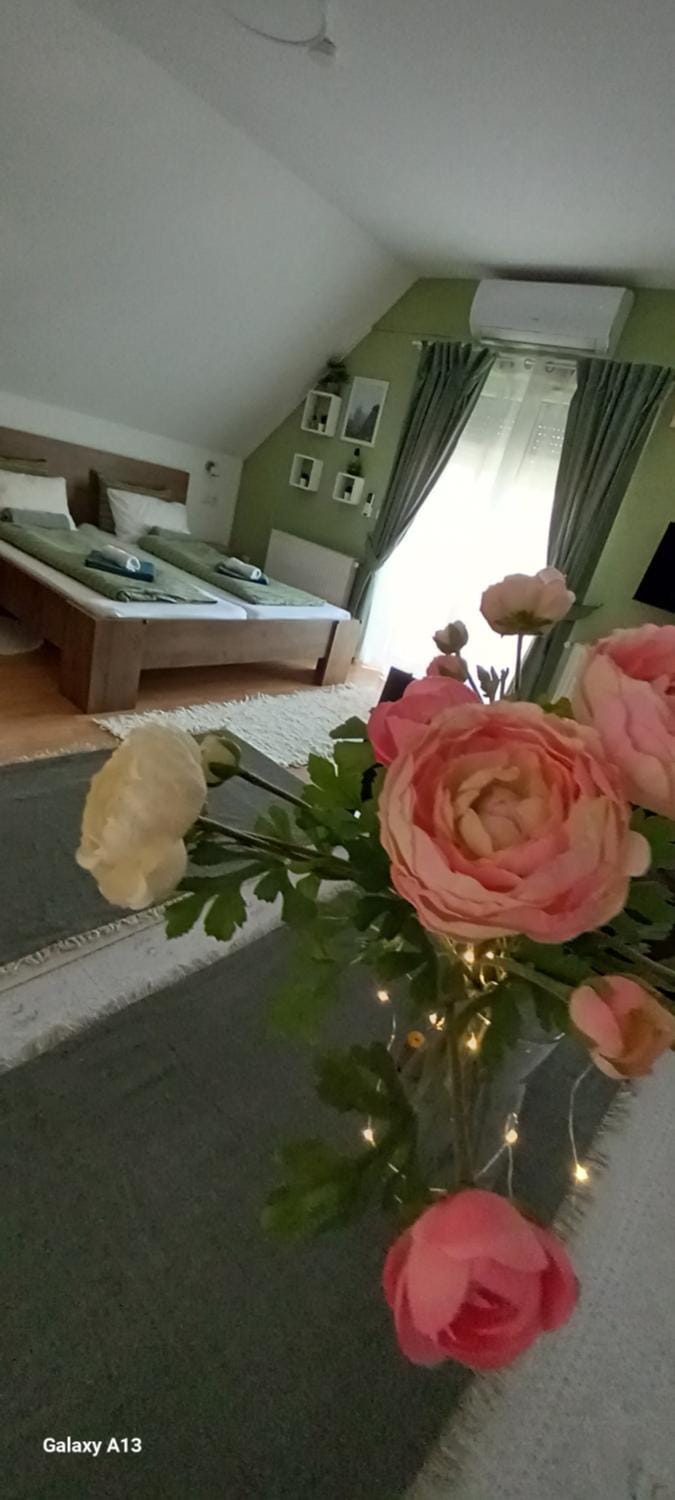 Villa Elmira Apartment in Hévíz